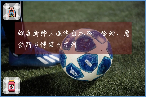 雄鹿新帅人选浮出水面：哈姆、詹金斯与博雷戈在列