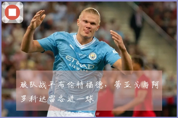 狼队战平布伦特福德，蒂亚戈与阿罗科达雷各进一球