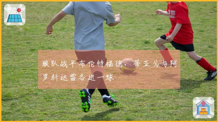 狼队战平布伦特福德，蒂亚戈与阿罗科达雷各进一球