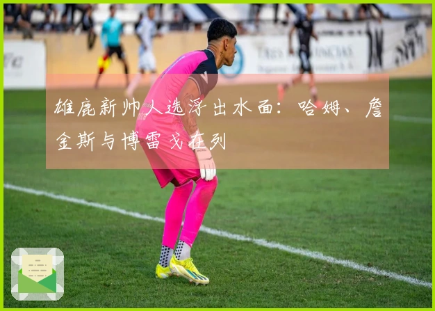 雄鹿新帅人选浮出水面：哈姆、詹金斯与博雷戈在列